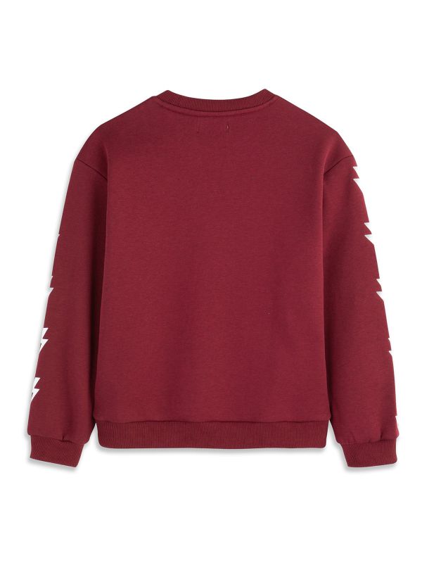 סווטשירט עם הדפס בשרוולים בנות